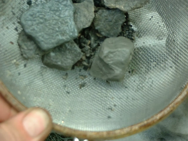 rock-in-basket